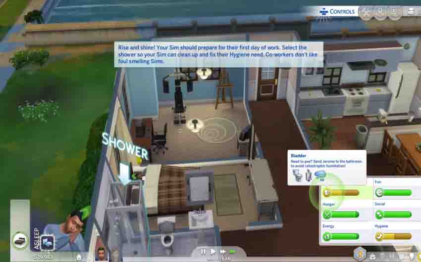 The Sims